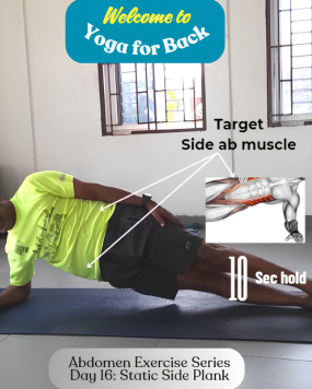 yogo1